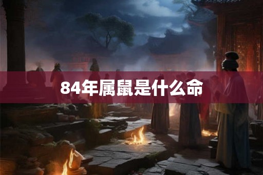 84年属鼠是什么命
