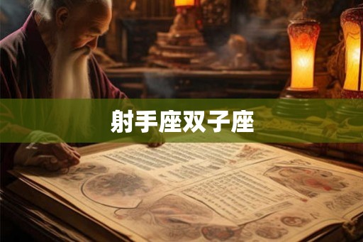 射手座双子座 射手座双子座