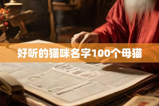 好听的猫咪名字100个母猫