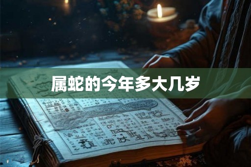 属蛇的今年多大几岁