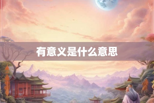 有意义是什么意思