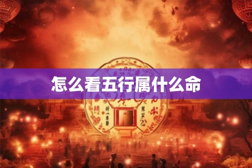怎么看五行属什么命