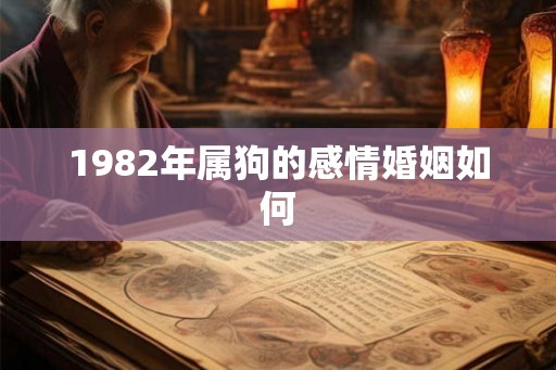 1982年属狗的感情婚姻如何