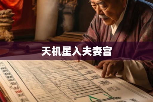 天机星入夫妻宫