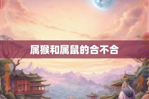 属猴和属鼠的合不合