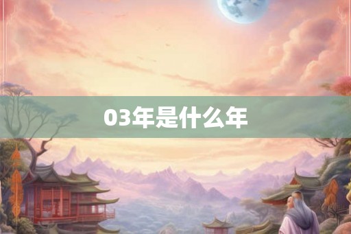 03年是什么年
