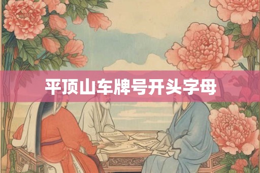 平顶山车牌号开头字母