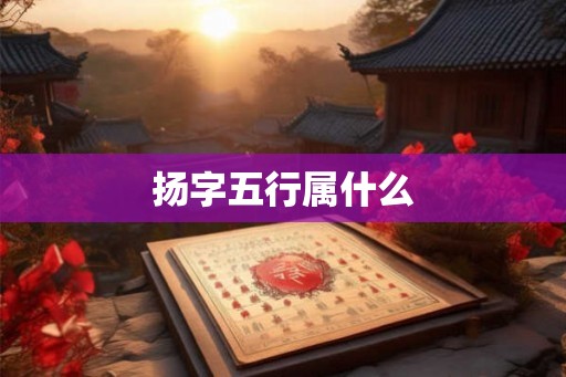 扬字五行属什么