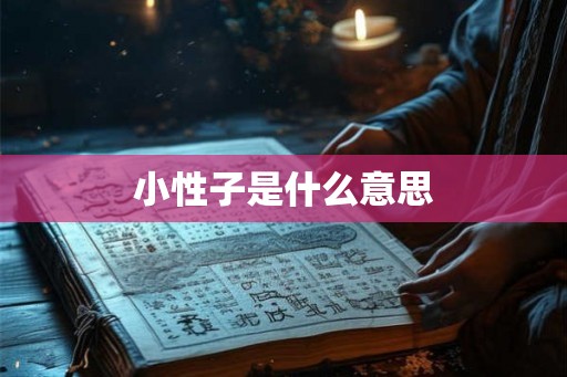 小性子是什么意思