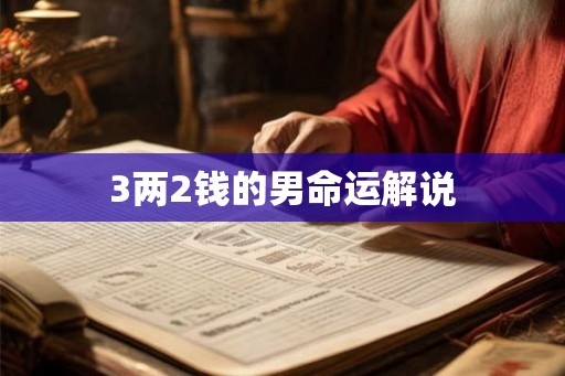 3两2钱的男命运解说