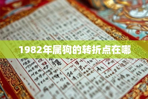 1982年属狗的转折点在哪