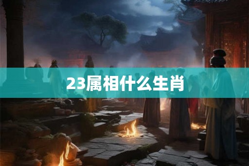 23属相什么生肖