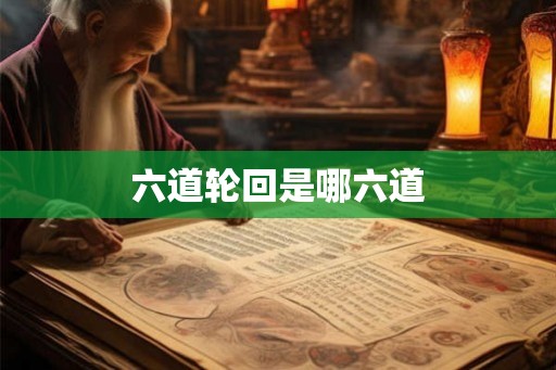 六道轮回是哪六道