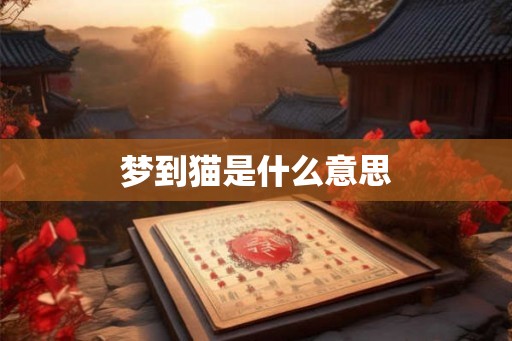 梦到猫是什么意思