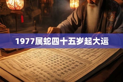 1977属蛇四十五岁起大运