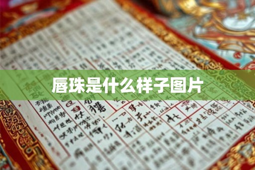 唇珠是什么样子图片