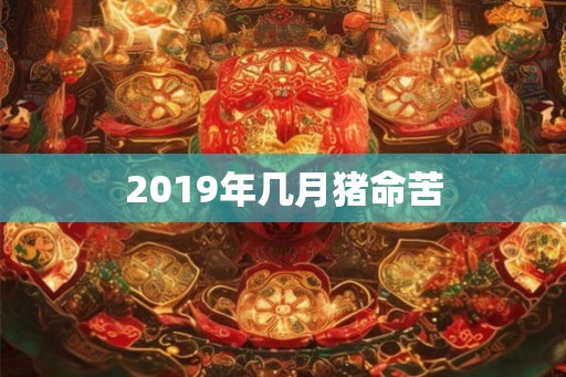 2019年几月猪命苦
