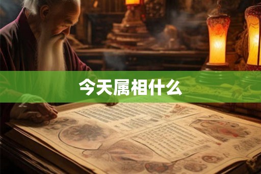 今天属相什么