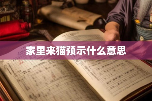 家里来猫预示什么意思