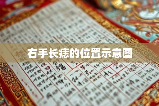 右手长痣的位置示意图