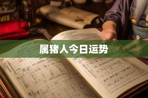 属猪人今日运势
