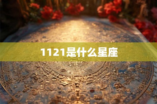 1121是什么星座