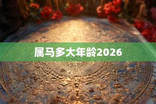 属马多大年龄2026