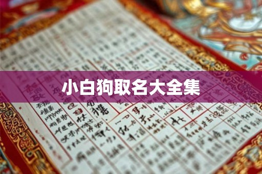 小白狗取名大全集