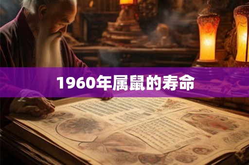 1960年属鼠的寿命