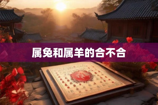 属兔和属羊的合不合