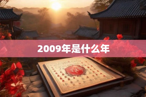 2009年是什么年