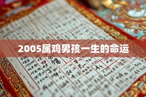 2005属鸡男孩一生的命运