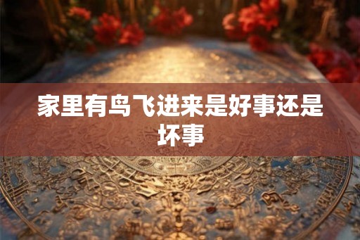 家里有鸟飞进来是好事还是坏事