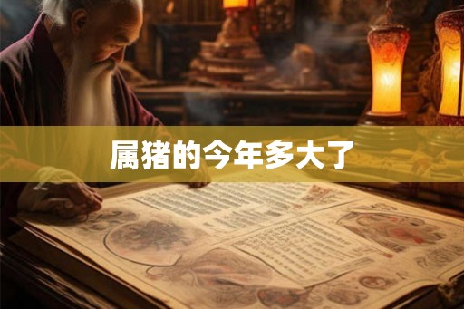 属猪的今年多大了 属猪的今年多大了