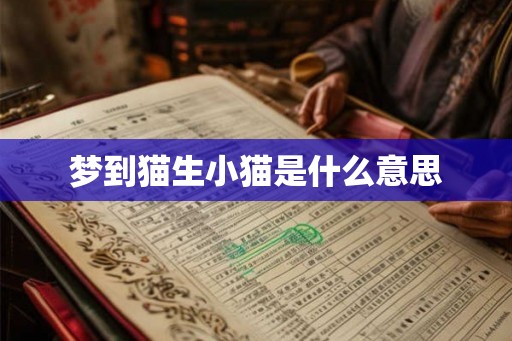 梦到猫生小猫是什么意思