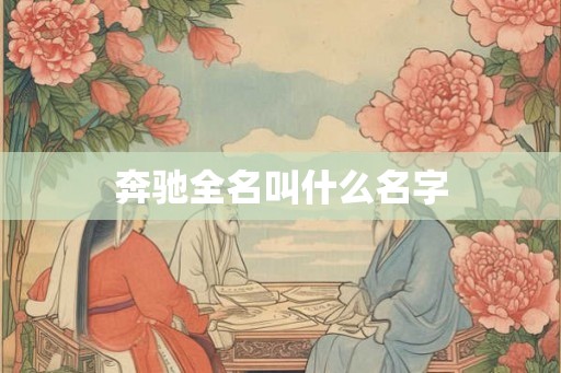 奔驰全名叫什么名字 奔驰全名叫什么名字