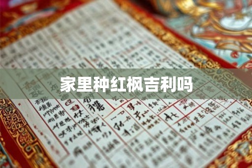 家里种红枫吉利吗