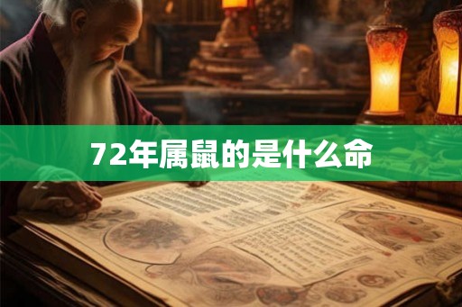 72年属鼠的是什么命