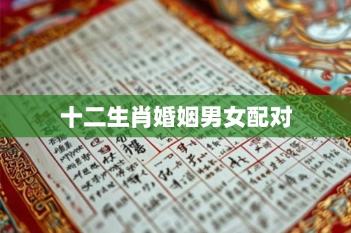 十二生肖婚姻男女配对