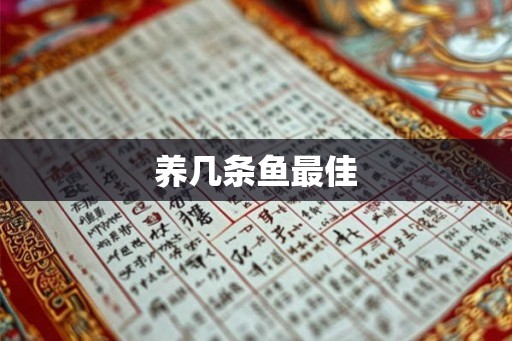 养几条鱼最佳