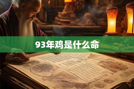 93年鸡是什么命