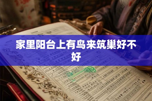 家里阳台上有鸟来筑巢好不好