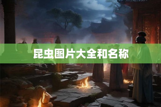 昆虫图片大全和名称 昆虫图片大全和名称