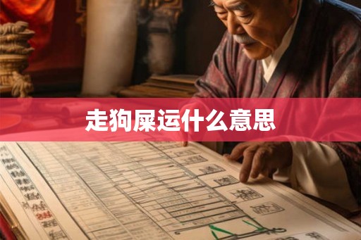 走狗屎运什么意思 走狗屎运什么意思