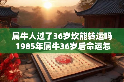 属牛人过了36岁坎能转运吗 1985年属牛36岁后命运怎么样
