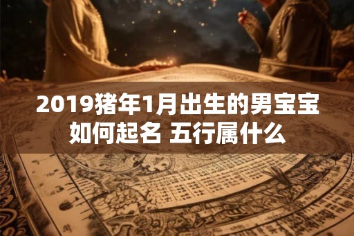 2019猪年1月出生的男宝宝如何起名 五行属什么 2019猪年1月出生的男宝宝如何起名 五行属什么