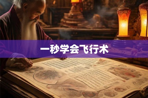 一秒学会飞行术 一秒学会飞行术