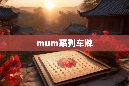 mum系列车牌