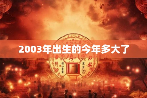 2003年出生的今年多大了
