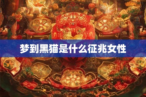 梦到黑猫是什么征兆女性